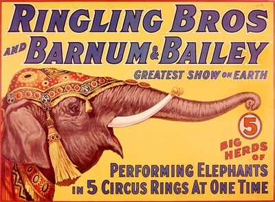 The Ringling Circus in Sarasota