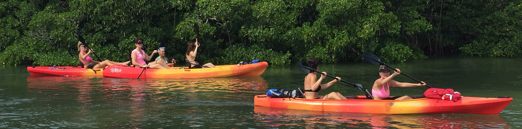 Kayaking in Sarasota