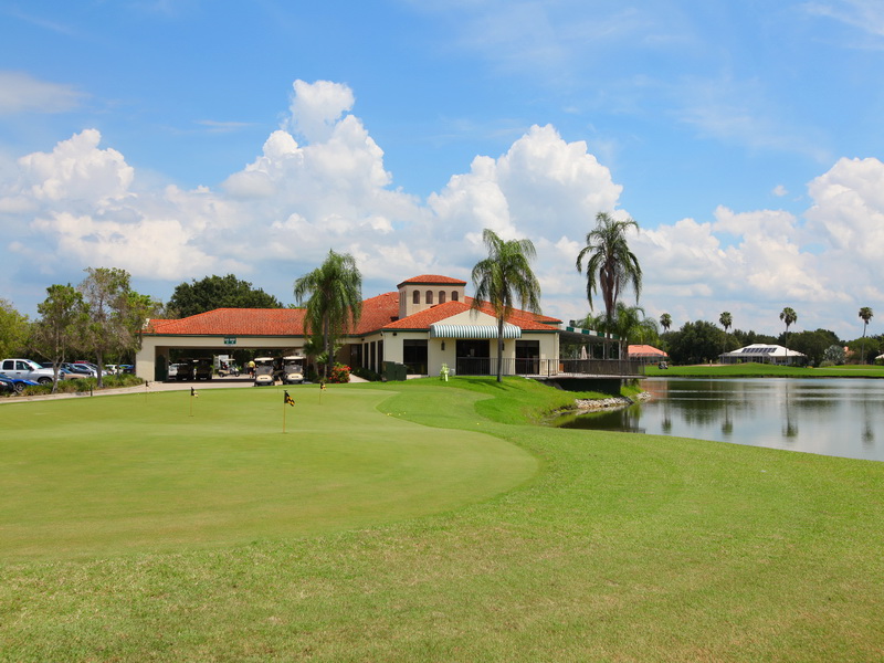 Serenoa Golf Course Homes for Sale
